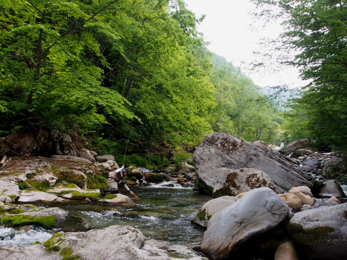 c0197578_1445371.jpg