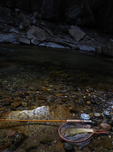 c0197578_1524467.jpg