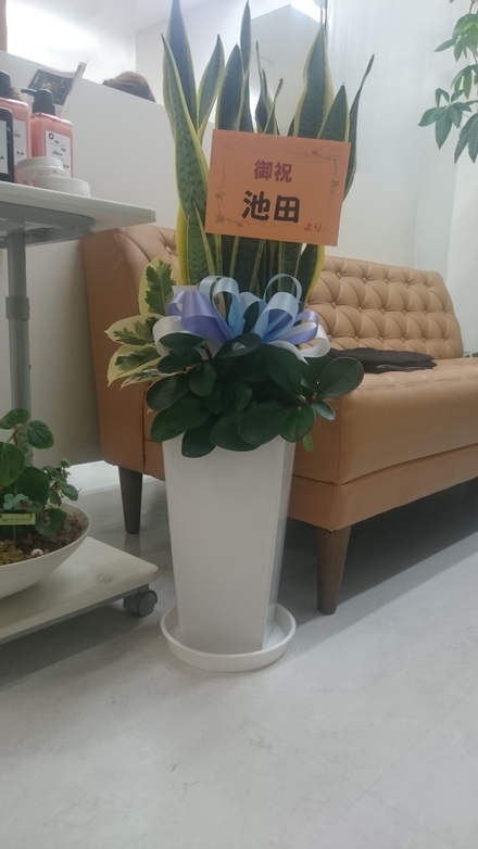 7周年_f0172281_5465981.jpg
