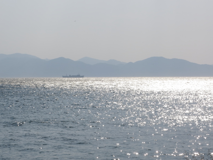 b0339488_20552919.jpg