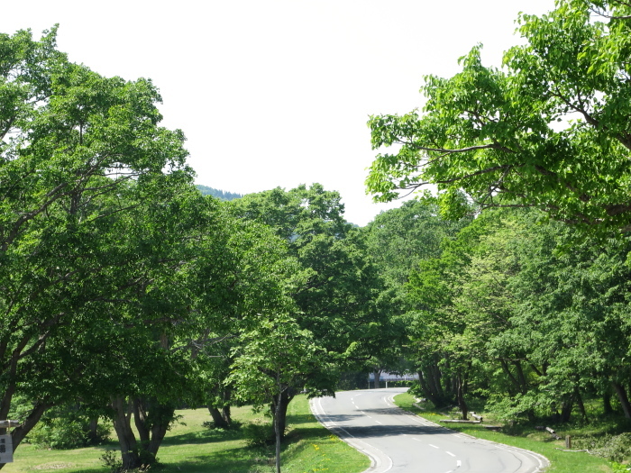 20150523東北放浪4日目その2　八甲田_b0339488_20553812.jpg