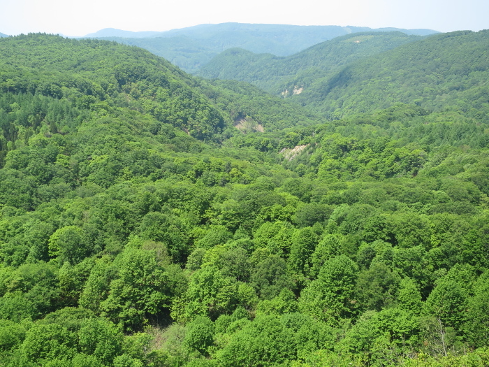 b0339488_20555629.jpg