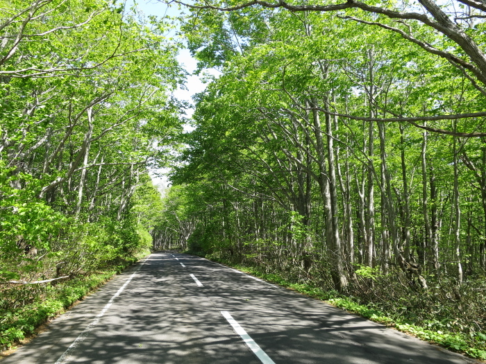 b0339488_20560364.jpg