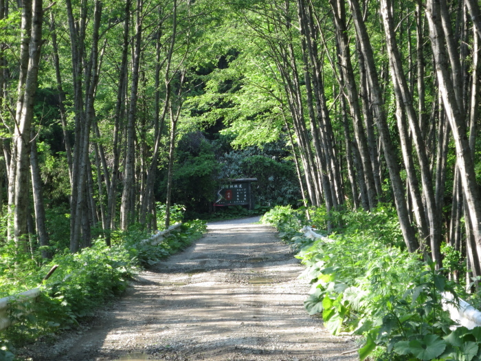 20150523東北放浪4日目その3　奥八九郎温泉_b0339488_20561008.jpg