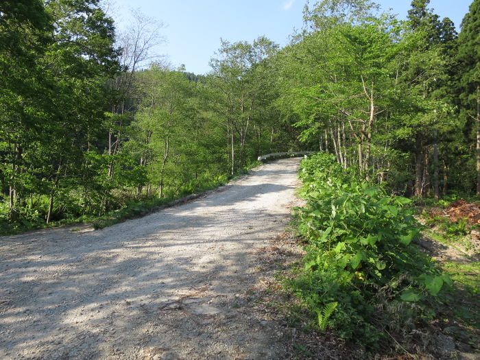 b0339488_20561081.jpg