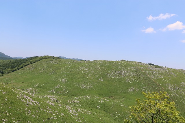 b0190092_2136069.jpg