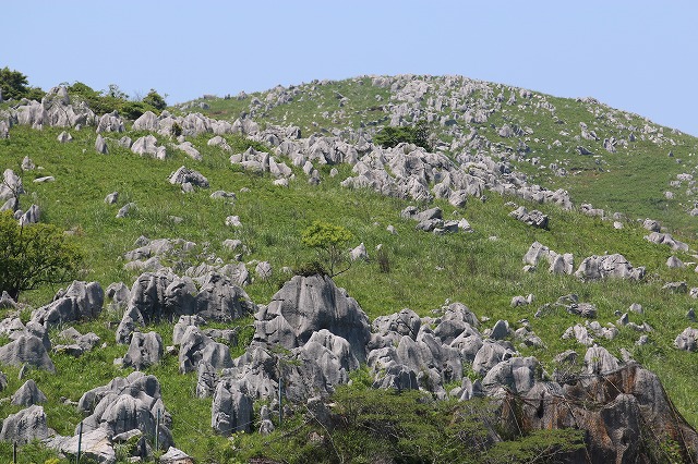 b0190092_21361760.jpg