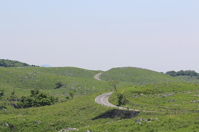b0190092_213634100.jpg