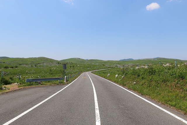 b0190092_21365033.jpg