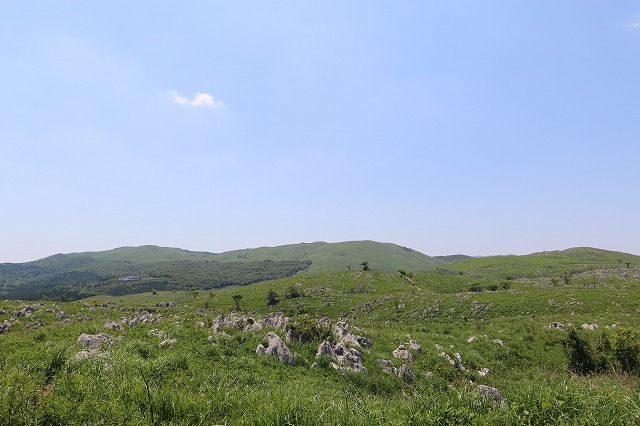 b0190092_21365910.jpg