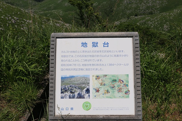 b0190092_2136739.jpg