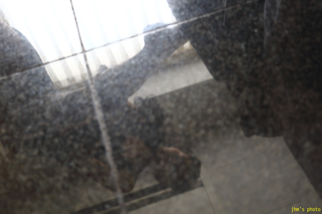 a0158797_22154128.jpg