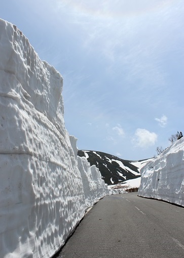 初夏の雪の回廊_a0170699_20555043.jpg