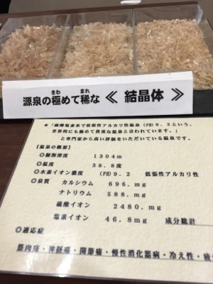 ワンと北丹沢へ、神ノ川〜犬越路登山口〜青根_a0218499_16291787.jpg