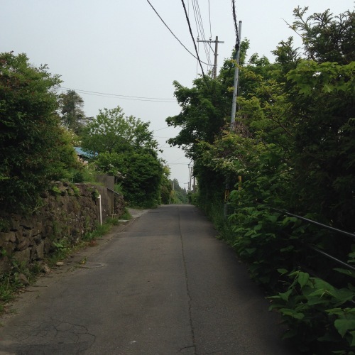 a0334502_14431509.jpg