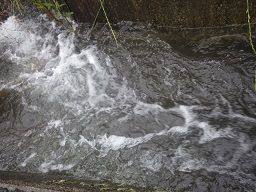 c0280206_92680.jpg