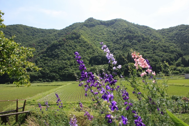 a0203510_0352537.jpg