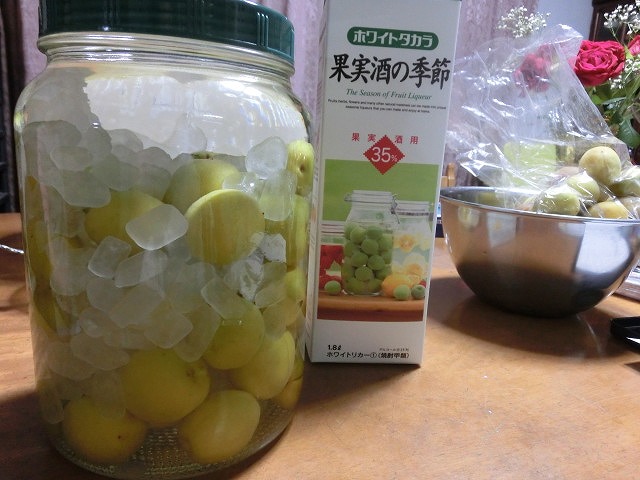 いただいた青梅で、初めての梅酒づくり_f0141310_702859.jpg