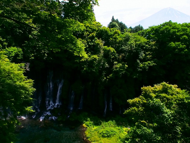 a0087818_22563515.jpg