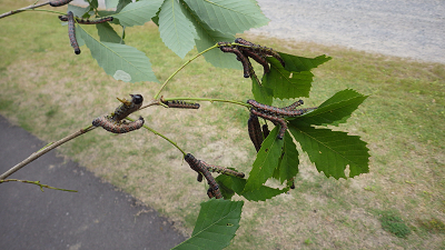 f0232920_16560781.jpg