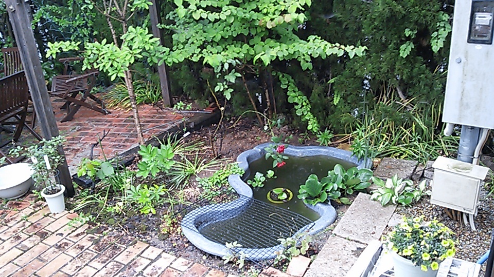e0344925_00315943.jpg