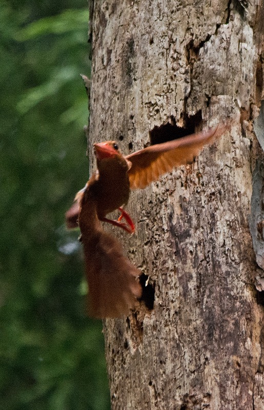 e0331427_16493819.jpg
