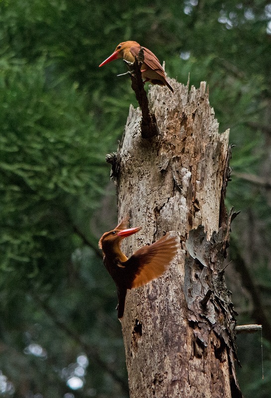 e0331427_16562682.jpg