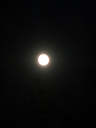 f0234936_6522679.jpg