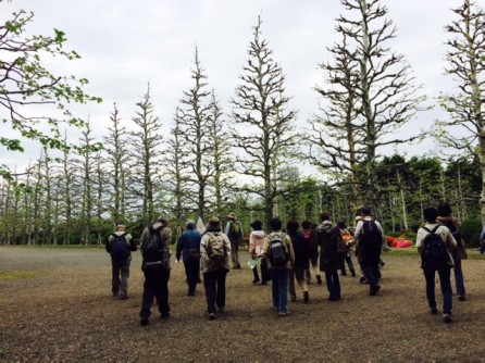 15前期 みどり学(フレッシュ)講座 新宿御苑野外学習 _e0211937_16512399.jpg