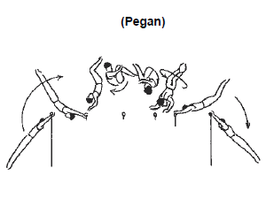 本家本元：ペガン（鉄棒） : The King of Gymnastics 2013-2016