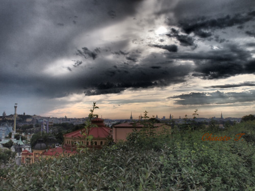 c0163751_06483991.jpg