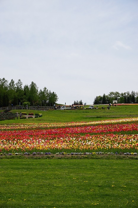 札幌癒しスポット♪滝野すずらん丘陵公園_d0269651_06494490.jpg