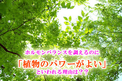 「ホルモンバランスの乱れを調えるのに植物の力がよい」といわれる理由_f0046151_2118439.jpg