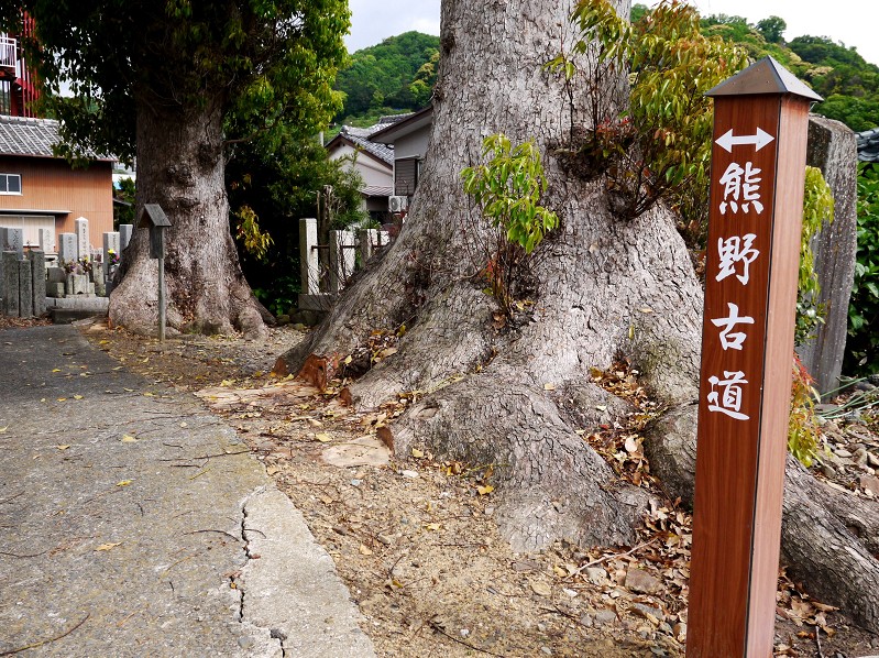 　　和歌山が生んだ偉人　９年前の撮影です　　２０２４-０９-２２　００：００　_b0093754_1944484.jpg