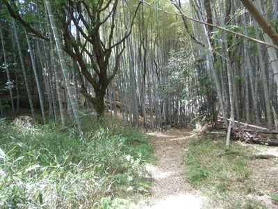 d0030958_15304326.jpg