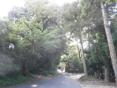 d0030958_15365875.jpg