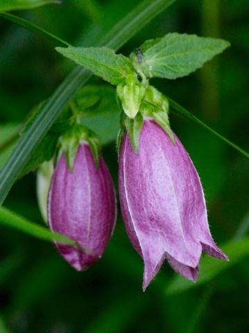 a0248459_18142899.jpg