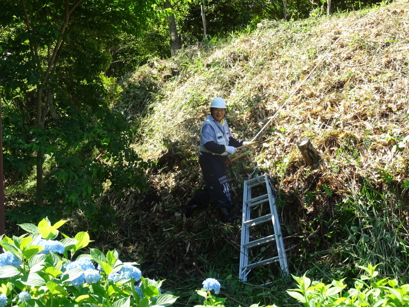 崖っぷちの草刈り継続 in うみべの森_c0108460_17432294.jpg