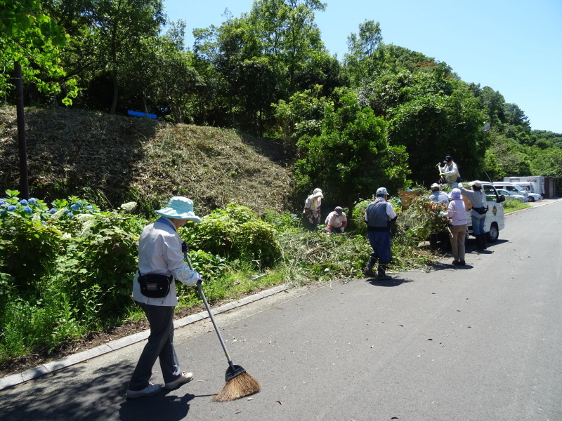 崖っぷちの草刈り継続 in うみべの森_c0108460_17530352.jpg