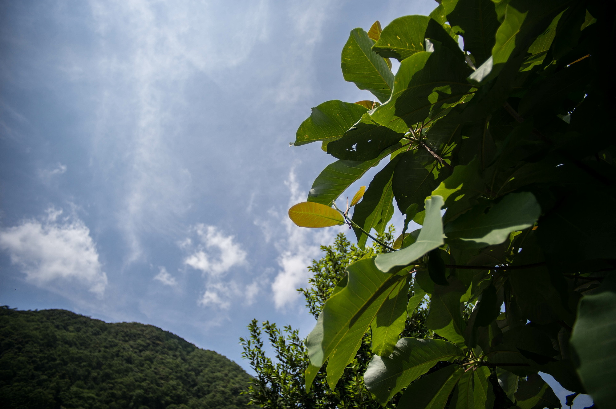 ライカエルマリート19mmで風景を撮る_e0015567_2032899.jpg