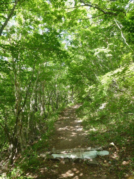 e0160568_16411098.jpg