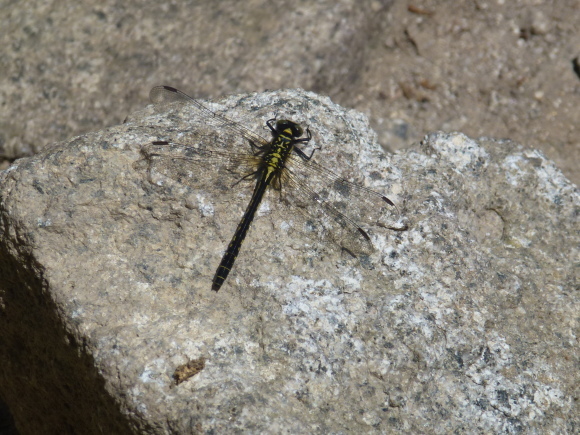 e0160568_17294941.jpg