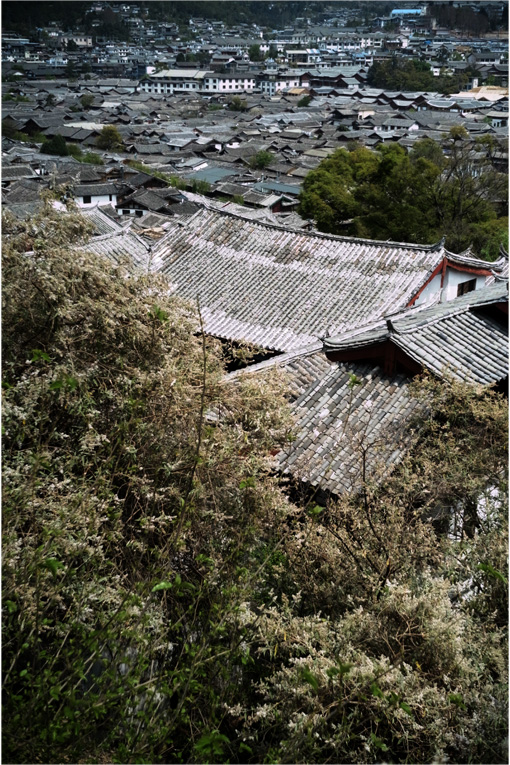 c0168172_1531495.jpg
