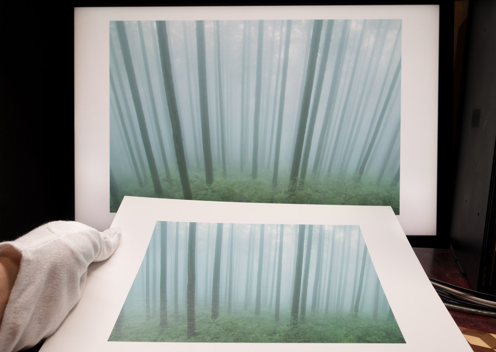 ピクトリコ ソフトグロスペーパーを試す！ : 気分は放浪記