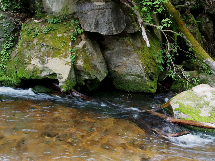 c0197578_1125731.jpg