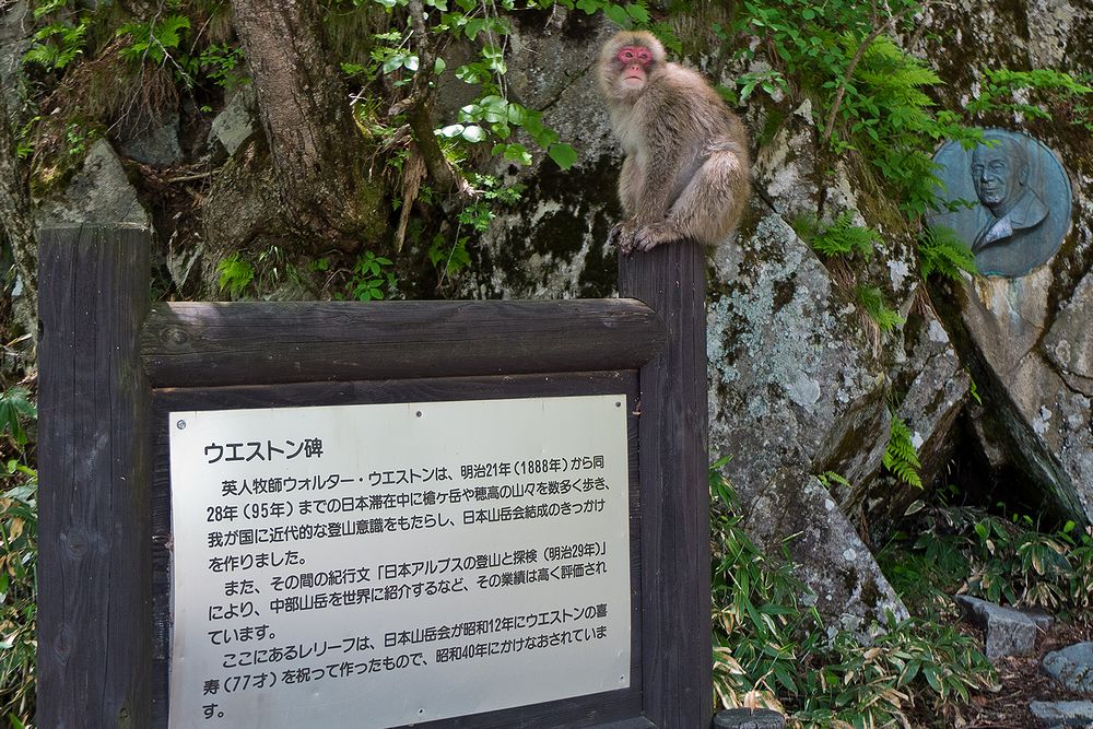 Babu de 泡の湯［後］_f0234982_18293220.jpg