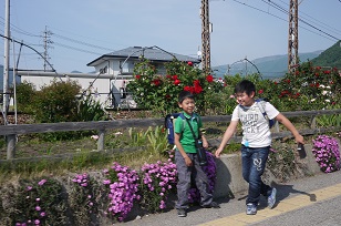 北信最古の「浄光寺（じょうこうじ）」へ＝長野県・小布施編_f0226293_22465832.jpg