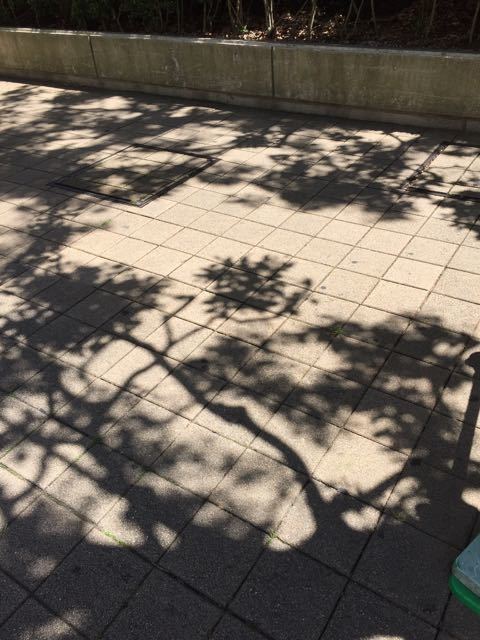 f0130894_23213739.jpg
