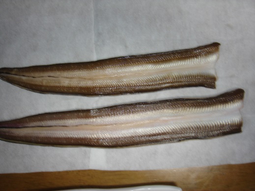 e0147297_103266.jpg