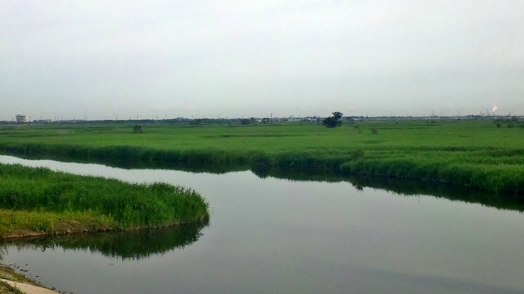 a0085114_20245686.jpg